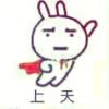 冬dongqiang
