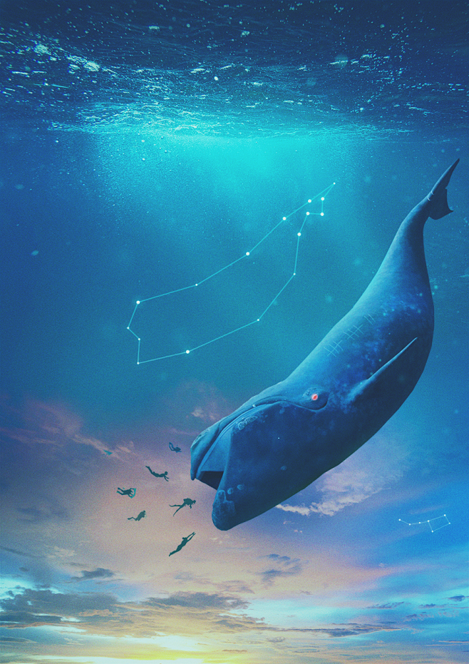 bluewhalebluewhale