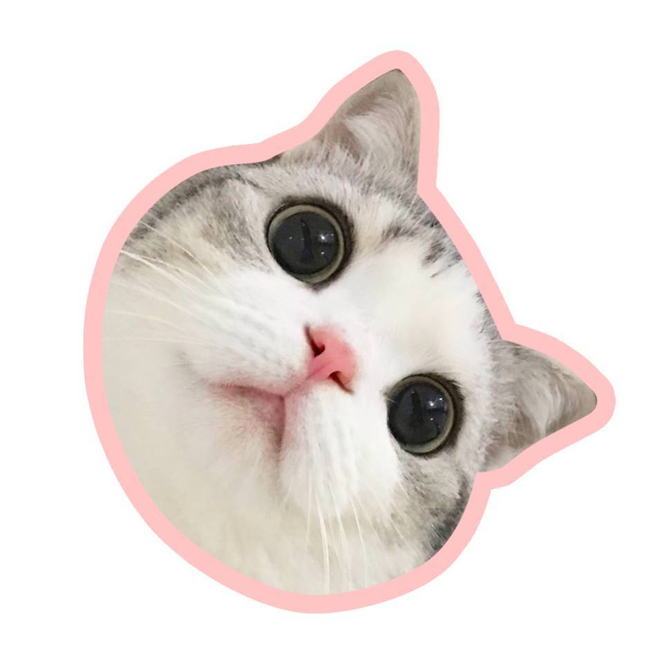 AsKCno