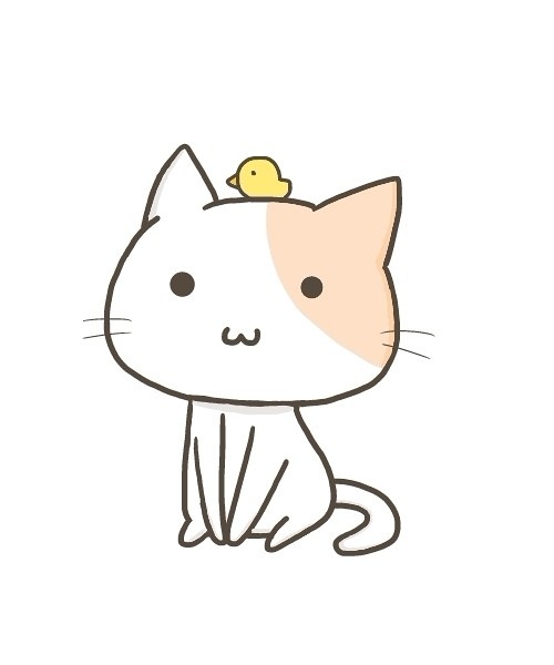 阳光灿烂小白马
