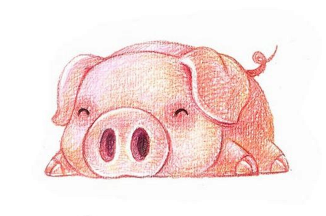 可爱生肖猪图画图片
