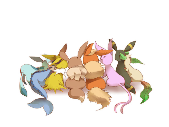 宠物小精灵口袋妖怪神奇宝贝伊布家族火精灵水精灵冰精