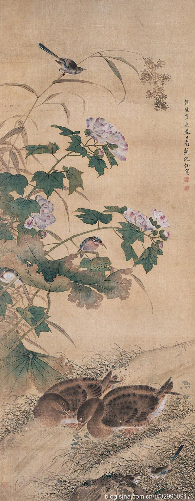 阿超又来从跑偏了的设计师转采于1 周前清代著名画