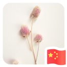 第三年春天