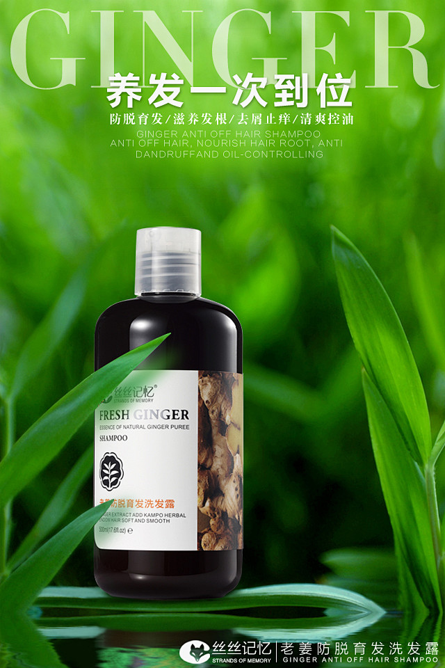 丝丝记忆洗发水生姜洗发水洗发露主图淘宝洗头水海报微商宣传图片微信