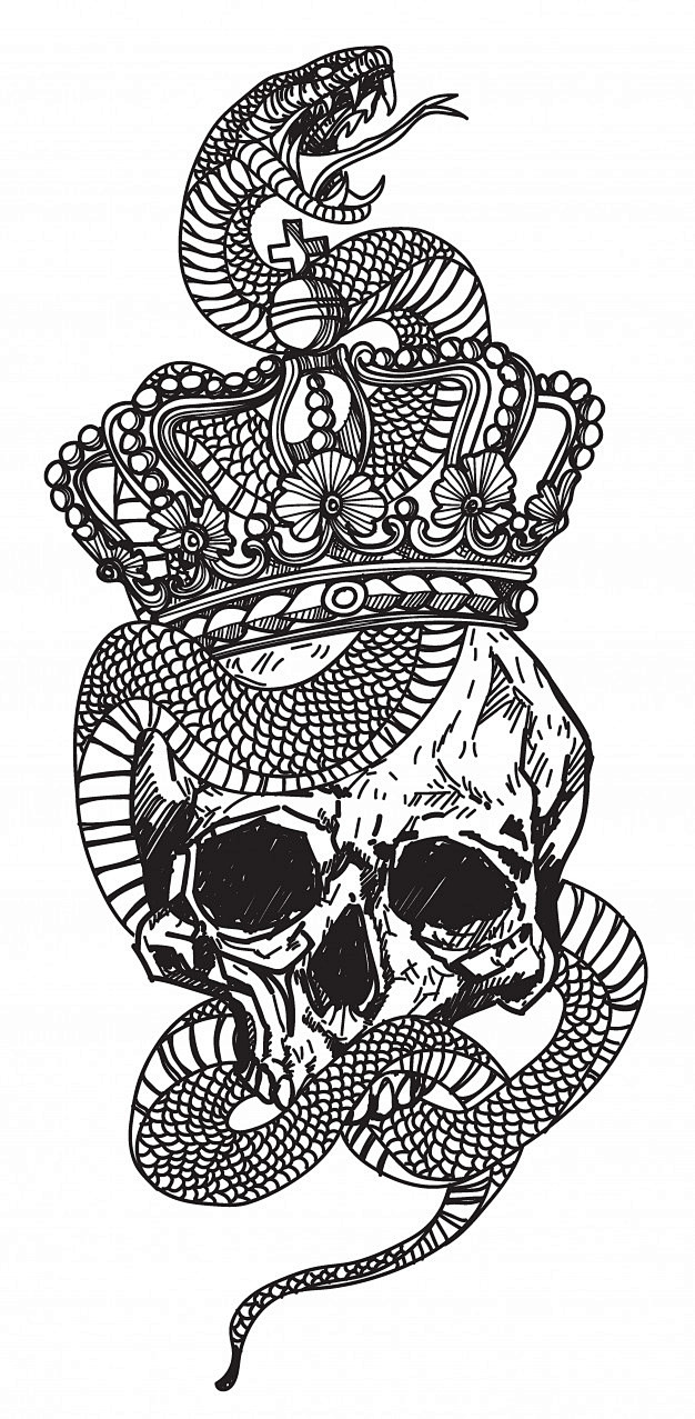纹身蛇缠绕在骷髅上纹身插画矢量图素材