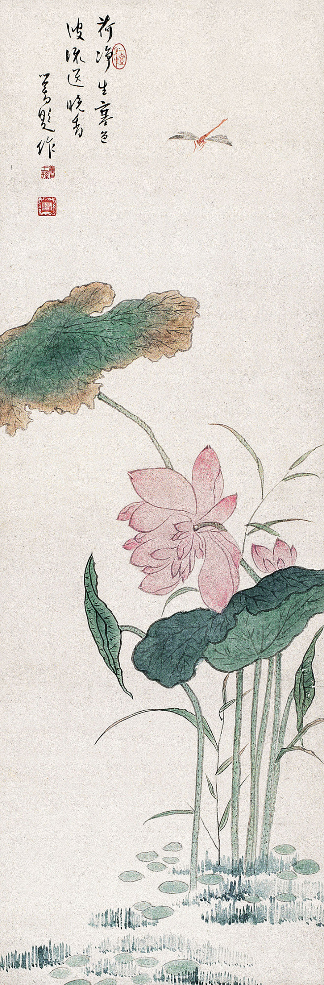 国画荷花图