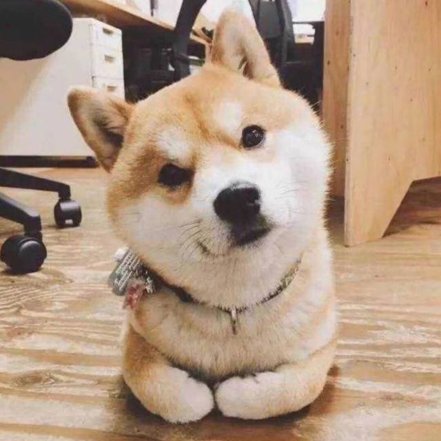 一毛钱呀