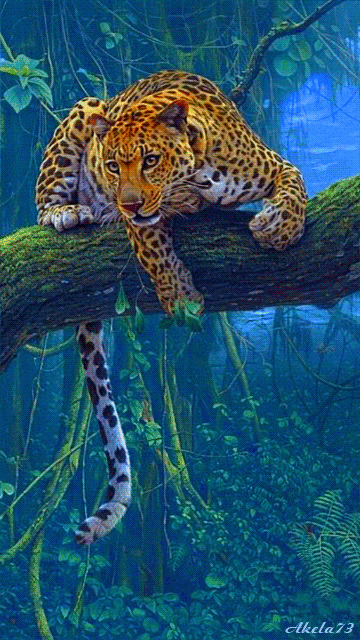 卓依婷timizhuoyitingtrácy03ình社群google