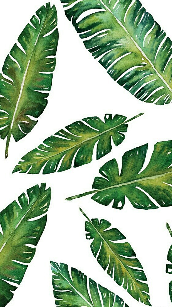 热带植物叶子热带植物印花矢量叶子图案水彩植物图案绿色植物叶子芭蕉