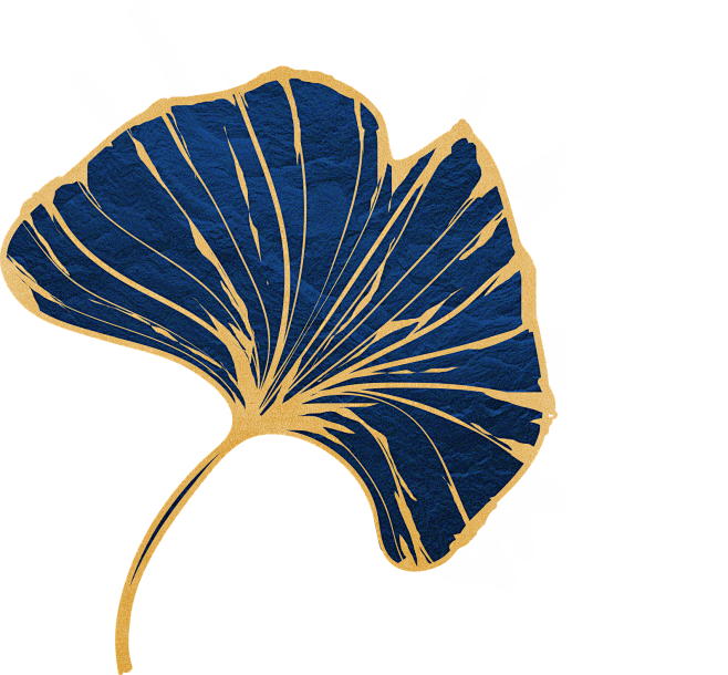 kasenn从ζ如也转采于2020-07-22 10:25:36杏叶4素材kasenn该采集也在