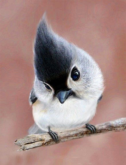 奇妙的朋友儷襹烏同采自www.woxihuan.com该采集也在以下画板加载更多