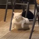 玻璃大局