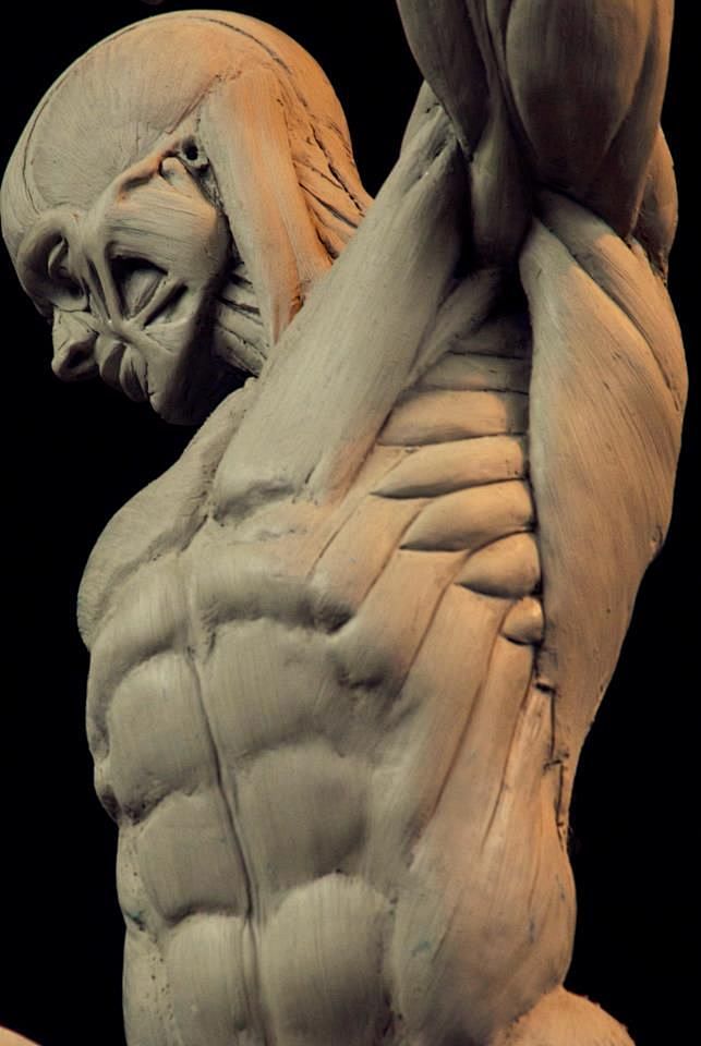 03a41da79ff78d932db211ecee126dbb63c7649eec55xph8igfw658