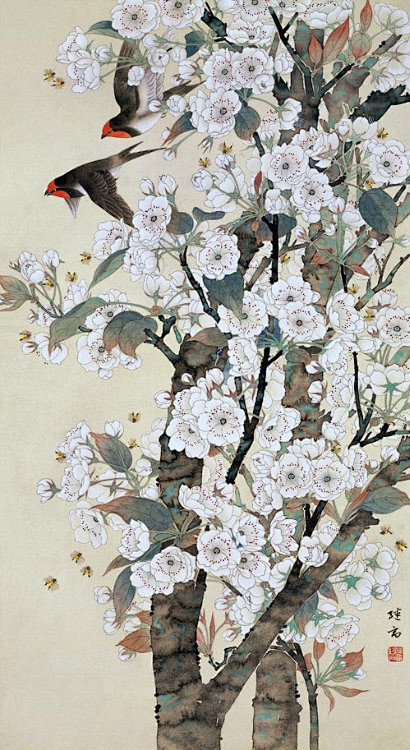 gmvce_金刚从紫萌月转采于2017-05-19 12:17:49工笔梨花国画---花鸟