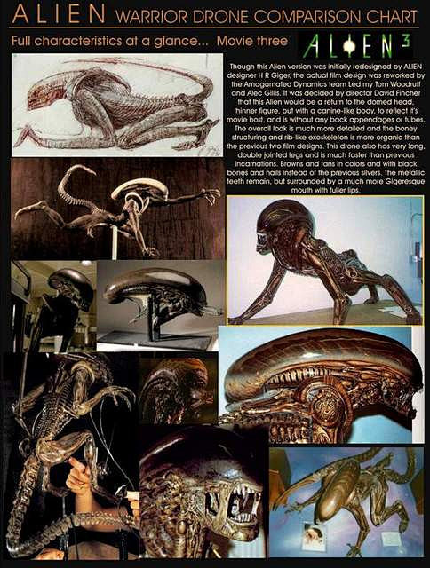 穿过你的胸膛我的脸异形生物详解百科–普罗米修斯影评