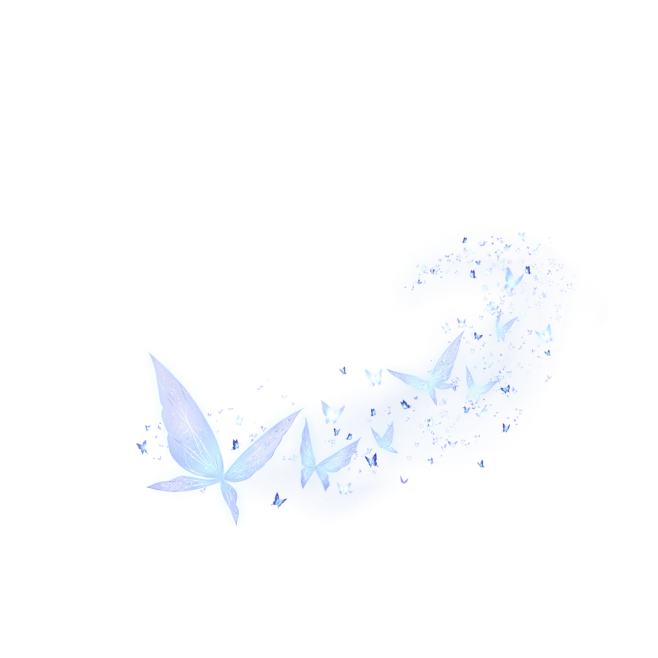 蝴蝶光特效
