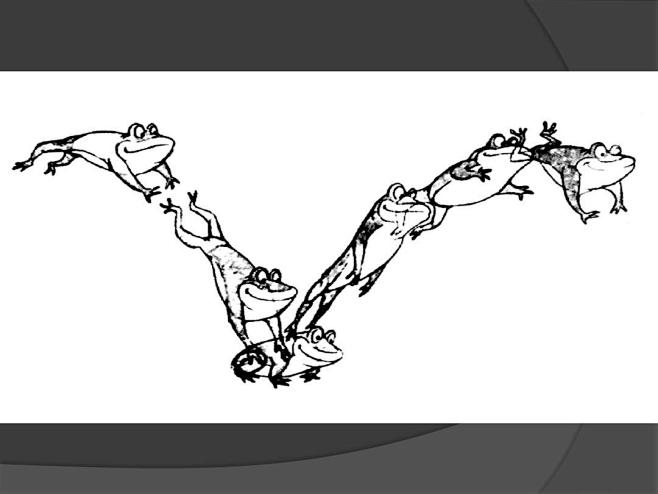 动画运动规律动物