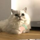 ニン～