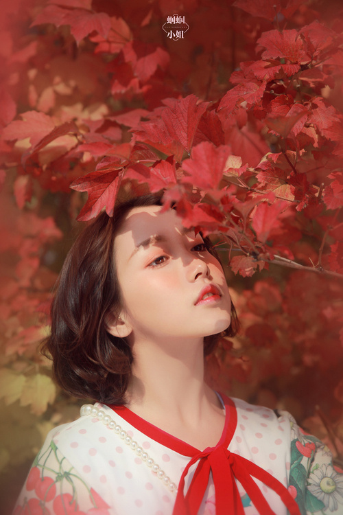 犹狄太大