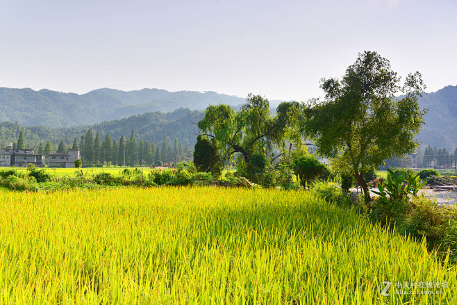 美麗鄉村美麗風景