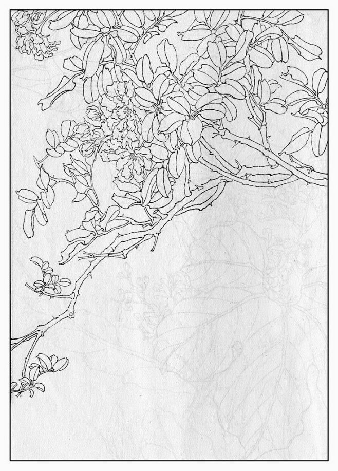 除非他复刊我才换头像从废柴少女转采于2017-06-25 11:53:06木香花纹